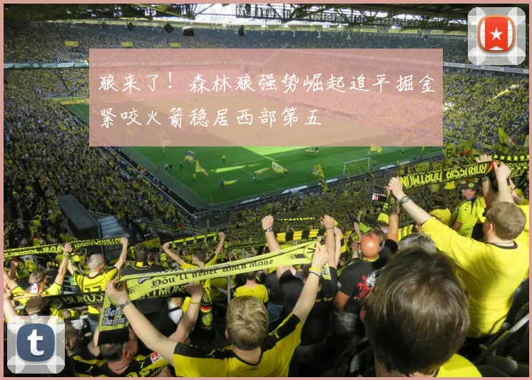 狼来了！森林狼强势崛起追平掘金紧咬火箭稳居西部第五