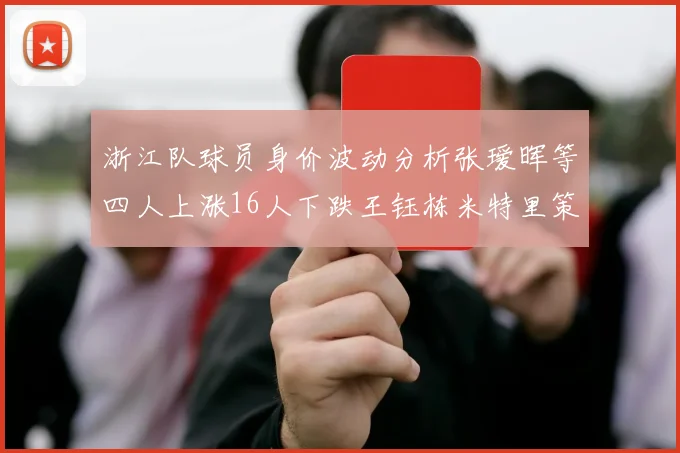 浙江队球员身价波动分析张瑷晖等四人上涨16人下跌王钰栋米特里策保持不变