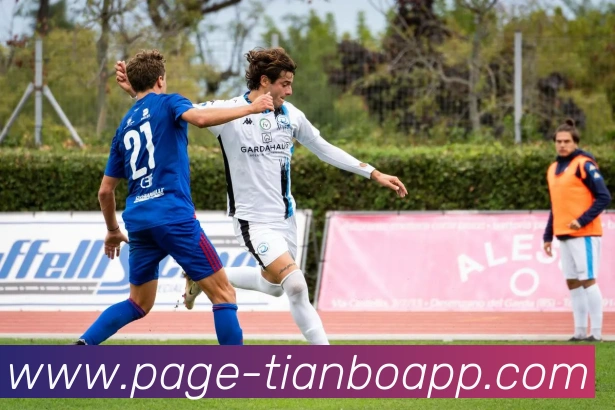 天博体育APP 封面图